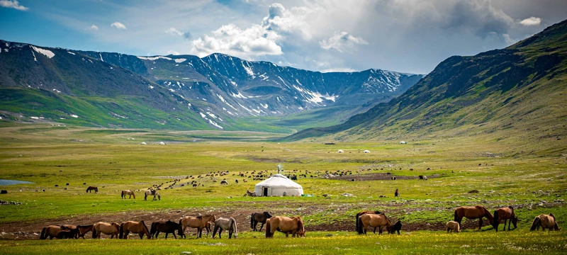 Монголия. Горы, озера, просторы: поход-тренинг! поход