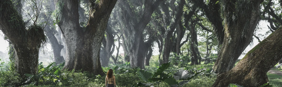 Филиппины. Китовые акулы, острова и полет на вертолете поход