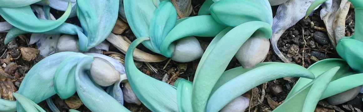 Семейный поход в сердце Кавказа Балкария и Безенги поход