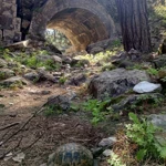 Фото к отзыву Екатерина Ларионова