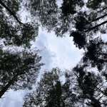 Фото к отзыву Тамара Клименко