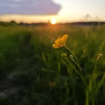 Фото к отзыву Анна Зегнун
