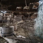 Фото к отзыву Анна Зегнун