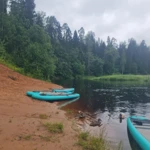 Фото к отзыву Дима Лебёдушкин