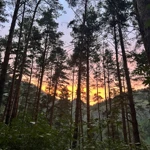 Фото к отзыву Екатерина Белоцерковец