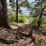Фото к отзыву Ольга Любченко