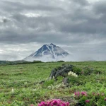 Фото к отзыву Анастасия Плетнева