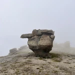 Фото к отзыву Дарья Макарова