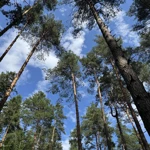 Фото к отзыву Вера Курмангазиева