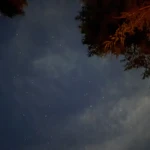 Фото к отзыву Светлана Антипова