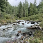 Фото к отзыву Светлана Антипова