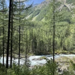 Фото к отзыву Светлана Антипова