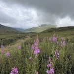 Фото к отзыву Светлана Антипова