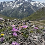 Фото к отзыву Анастасия Илатовская