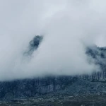 Фото к отзыву Илья Прошутинский
