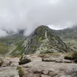 Фото к отзыву Дарья Красильникова