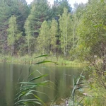 Фото к отзыву Олег Гапонов