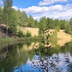 Фото к отзыву Олег Гапонов