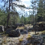 Фото к отзыву Анна Семерня