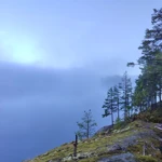 Фото к отзыву Мария Лютикова