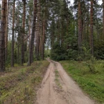 Фото к отзыву Тихон Б