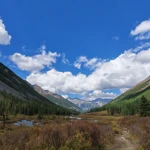 Фото к отзыву Алексей Щербак