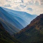Фото к отзыву Алексей Щербак