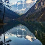 Фото к отзыву Алексей Щербак