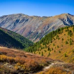 Фото к отзыву Алексей Щербак