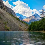 Фото к отзыву Алексей Щербак