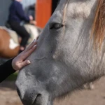 Фото к отзыву Татьяна  Захарова
