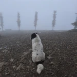 Фото к отзыву Светлана Капралова