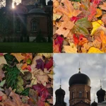 Фото к отзыву Наташа Галигузова