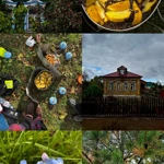 Фото к отзыву Наташа Галигузова