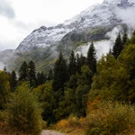 Фото к отзыву Эльвира Х
