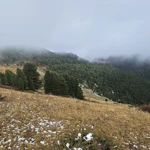 Фото к отзыву Александра Зубарева