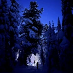 Фото к отзыву Даша Андреевна