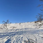 Фото к отзыву Даша Андреевна