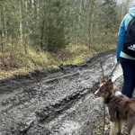 Фото к отзыву Юлия Родионова