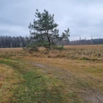 Фото к отзыву Елена Зел