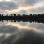 Фото к отзыву Полина Решетникова