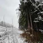 Фото к отзыву Ирина Кондрашова