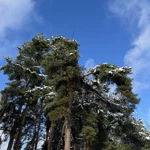 Фото к отзыву Ирина Кондрашова