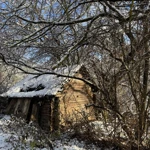 Фото к отзыву Ирина Кондрашова