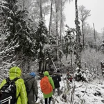 Фото к отзыву Ирина Кондрашова