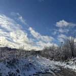Фото к отзыву Ирина Кондрашова