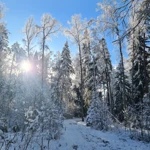 Фото к отзыву Ксения Г.