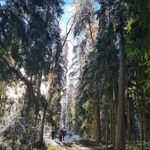 Фото к отзыву Ксения Г.