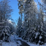 Фото к отзыву Ирина Бенедская
