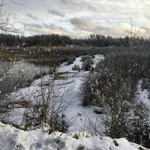 Фото к отзыву Ирина Бенедская